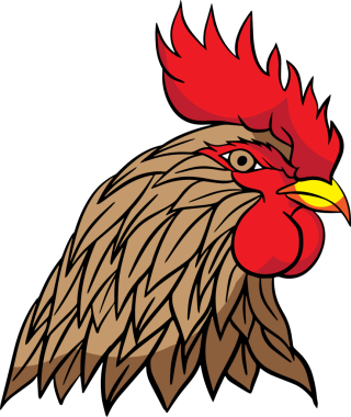 Çiftlik horozu ya da gıda logosu konsepti.