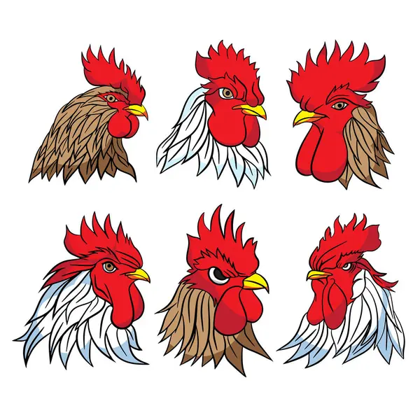 stock vector A rooster, also known as a cockerel or cock, is a male chicken (Gallus gallus domesticus) that is distinguished by its bright plumage, pronounced comb and wattles, and its crowing behavior