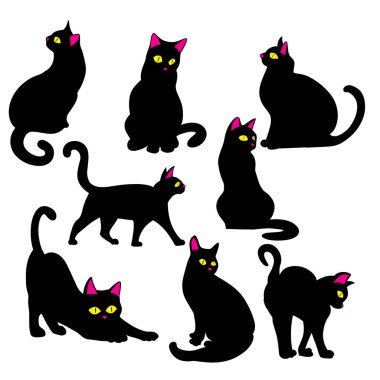 Kara kedi, tamamen siyah paltosu olan evcil bir kedi türüdür. Genellikle gizem, sihir ve batıl inançla ilişkilendirilen bir renk..