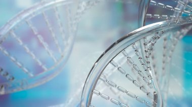 DNA Deoksiribonükleik asit, tüm canlı organizmaların ve birçok virüsün büyümesinde, gelişiminde, işlevinde ve çoğalmasında kullanılan genetik talimatları taşıyan moleküldür..