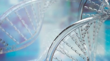 DNA Deoksiribonükleik asit, tüm canlı organizmaların ve birçok virüsün büyümesinde, gelişiminde, işlevinde ve çoğalmasında kullanılan genetik talimatları taşıyan moleküldür..