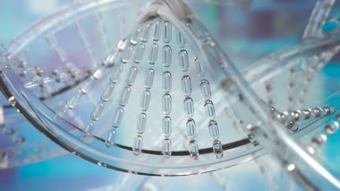 DNA Deoksiribonükleik asit, tüm canlı organizmaların ve birçok virüsün büyümesinde, gelişiminde, işlevinde ve çoğalmasında kullanılan genetik talimatları taşıyan moleküldür..