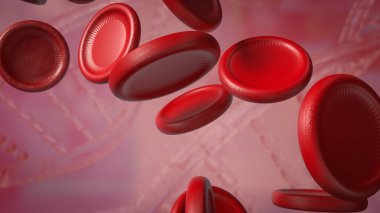 Kan hücreleri, özellikle oksijen nakli, enfeksiyonlarla mücadele ve kan pıhtılaşması gibi vücut fonksiyonlarının korunmasında önemli rol oynayan kan dolaşımında bulunan özel hücrelerdir..