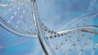 DNA Deoksiribonükleik asit, tüm canlı organizmaların ve birçok virüsün büyümesinde, gelişiminde, işlevinde ve çoğalmasında kullanılan genetik talimatları taşıyan moleküldür..