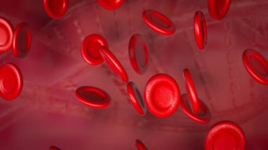 Kan hücreleri, özellikle oksijen nakli, enfeksiyonlarla mücadele ve kan pıhtılaşması gibi vücut fonksiyonlarının korunmasında önemli rol oynayan kan dolaşımında bulunan özel hücrelerdir..