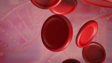 Kan hücreleri, özellikle oksijen nakli, enfeksiyonlarla mücadele ve kan pıhtılaşması gibi vücut fonksiyonlarının korunmasında önemli rol oynayan kan dolaşımında bulunan özel hücrelerdir..