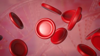 Kan hücreleri, özellikle oksijen nakli, enfeksiyonlarla mücadele ve kan pıhtılaşması gibi vücut fonksiyonlarının korunmasında önemli rol oynayan kan dolaşımında bulunan özel hücrelerdir..