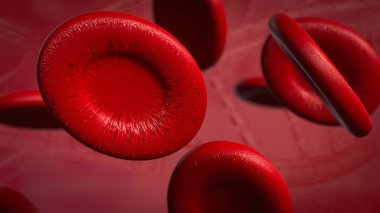 Kan hücreleri, özellikle oksijen nakli, enfeksiyonlarla mücadele ve kan pıhtılaşması gibi vücut fonksiyonlarının korunmasında önemli rol oynayan kan dolaşımında bulunan özel hücrelerdir..