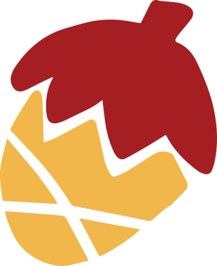 Sonbahar kutlaması ya da tatil konsepti için balkabağı ve yaprak.