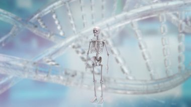 Eğitim veya bilim konsepti 3D sunumu için siyah arkaplan üzerine iskelet.