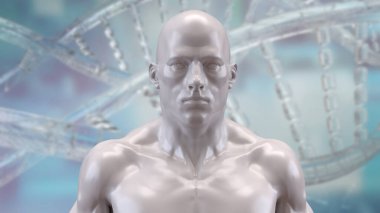 Tıp veya eğitim konsepti için insan anatomisi 3D yorumlama.