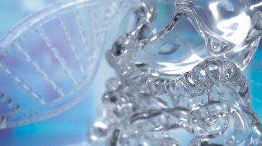 Sağlık veya tıbbi konsept için mide 3D Hazırlama.