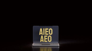 AEO ve AIEO bilgi almak için yeni sistemler. Bu oldukça ilginç. Veri analizi, dijital pazarlama veya SEO ile ilgili yeni bir kavram veya teknoloji gibi görünüyor.