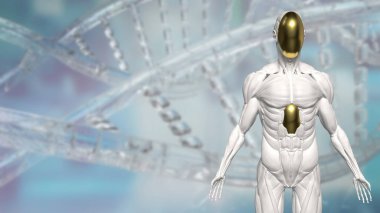 Teknoloji ve bilim konsepti 3D Hazırlama için İnsansı.