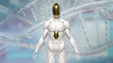 Teknoloji ve bilim konsepti 3D Hazırlama için İnsansı.