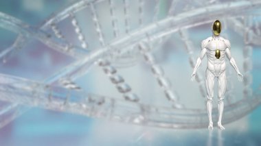 Teknoloji ve bilim konsepti 3D Hazırlama için İnsansı.