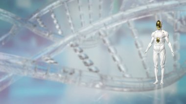 Teknoloji ve bilim konsepti 3D Hazırlama için İnsansı.