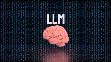 LLM ve Teknoloji için Beyin 3D Hazırlama.