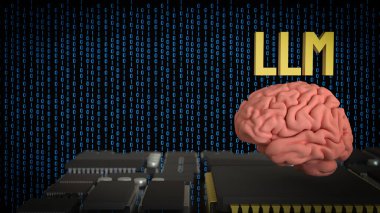 LLM ve Teknoloji için Beyin 3D Hazırlama.
