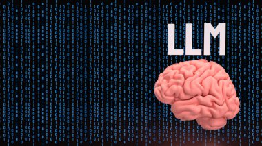 LLM ve Teknoloji için Beyin 3D Hazırlama.