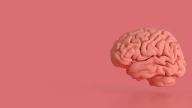 Bilim ya da sağlık konsepti 3D oluşturma için pembe arka plandaki beyin.