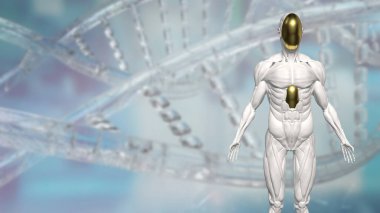 Teknoloji ve bilim konsepti 3D Hazırlama için İnsansı.