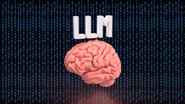 LLM ve Teknoloji için Beyin 3D Hazırlama.