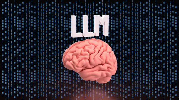 LLM ve Teknoloji için Beyin 3D Hazırlama.