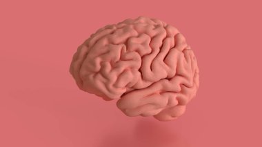 Bilim ya da sağlık konsepti 3D oluşturma için pembe arka plandaki beyin.