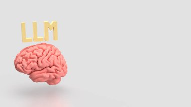 LLM ve Teknoloji için Beyin 3D Hazırlama.