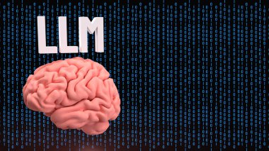 LLM ve Teknoloji için Beyin 3D Hazırlama.