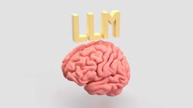LLM ve Teknoloji için Beyin 3D Hazırlama.