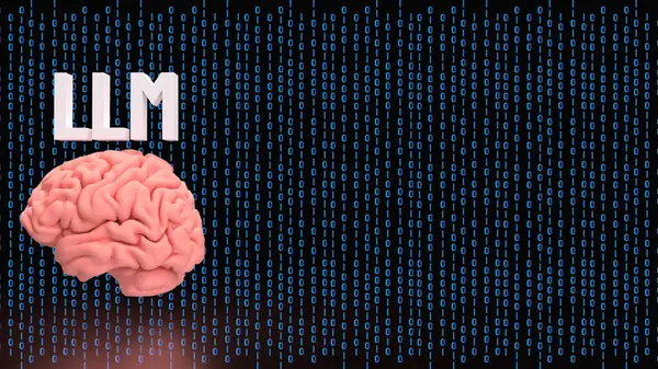 LLM ve Teknoloji için Beyin 3D Hazırlama.