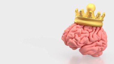 Bilim ya da tıp konsepti için beyin ve altın kaplama