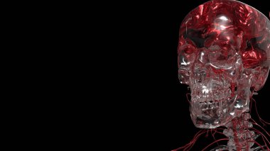 Kristal Skelton Bilim veya Eğitim Konsepti 3D Hazırlama.