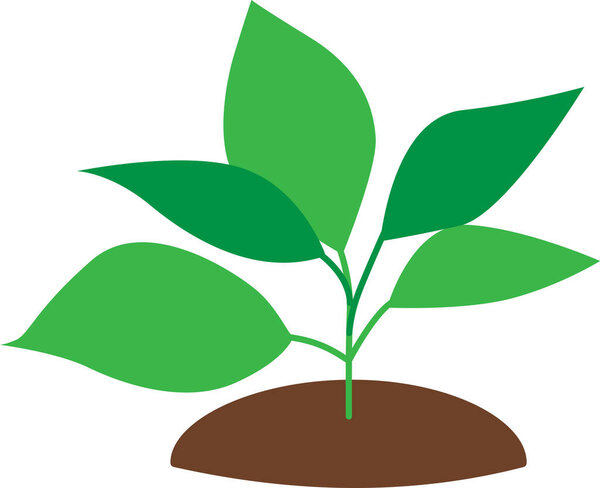 A green plant planted in the soil. Transparent background. Vector illustration