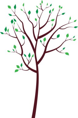 Yeşil yapraklı bir ağaç. Yaz. Vektör çizimi. Şeffaf arkaplan