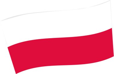 Polonya vektör illüstrasyonunun ulusal bayrağı