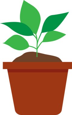 Yeşil çiçekli kahverengi bir saksı. Şeffaf arkaplan ile vektör illüstrasyonu.