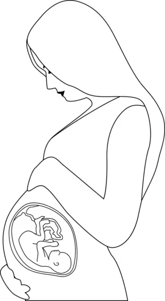 Hamile bir kadın karnına dokunuyor. Ana rahmindeki bir bebek, başı aşağıda cenin pozisyonunda. Taslak vektör çizimi. Şeffaf arkaplan.