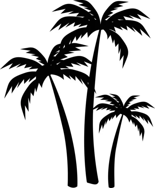 Üç palmiye ağacının siluetleri. Şeffaf arkaplan ile vektör illüstrasyonu.