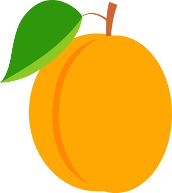 Çizgi film tarzında kayısı. Şeffaf arkaplan ile vektör illüstrasyonu.