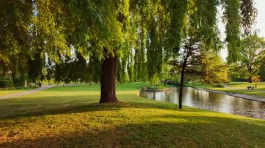 Manikürlü çimenler ve olgun ağaçlar Salisbury, Salisbury, Wiltshire, İngiltere 'deki Churchill Bahçeleri' nde sarmal yollar.