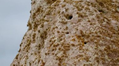 SALISBURY, İngiltere, 12 Mayıs 2025 - Tarih öncesi taş sütunlar ve linteller Stonehenge, Salisbury, Wiltshire, İngiltere 'de tebeşir üzerine kurulmuş ikonik bir anıt oluştururlar.