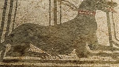 POMPEII (Pompei), İtalya, 21 Nisan 2024 - Paquius Proculus, Pompeii, Napoli, Campania, İtalya, M.S. 79 yılında Vezüv tarafından gömülen antik Roma kenti