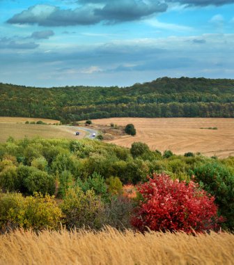Tarımsal makinelerin çalıştığı tarlalardan geçen yol, maun ağacının arka planındaki sonbahar manzarasının en üst görüntüsü.