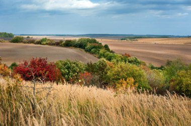 tarımsal makinelerin çalıştığı tarıma elverişli alanlar, maun ağacının arka planındaki sonbahar manzarasının en üst görüntüsü