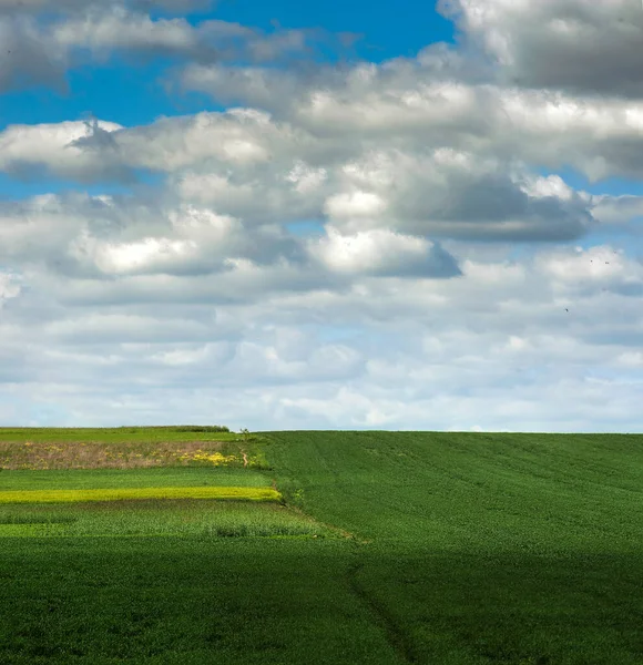 Farmland Padrões Campo Cores Diferentes Céu Nublado Bonito — Fotografia de Stock