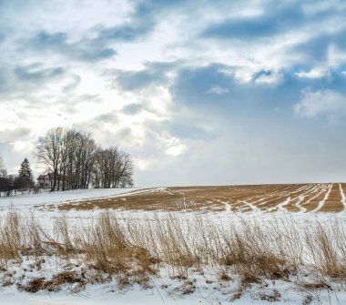 snowy field with stubble in winter and a house and trees and beautiful cloudly sky on the horizon