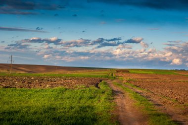 plowed and green field, dirt road and hills, clouds at sky, the springtime